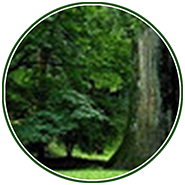 Фотографии профиля