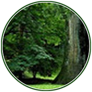 Denis Juriev: The Intersocial Channel @ Hub.Denis-Juriev.Net